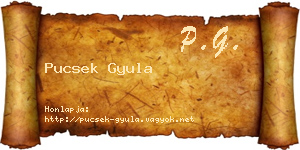 Pucsek Gyula névjegykártya